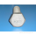 ASTM A325 HEX BOLT